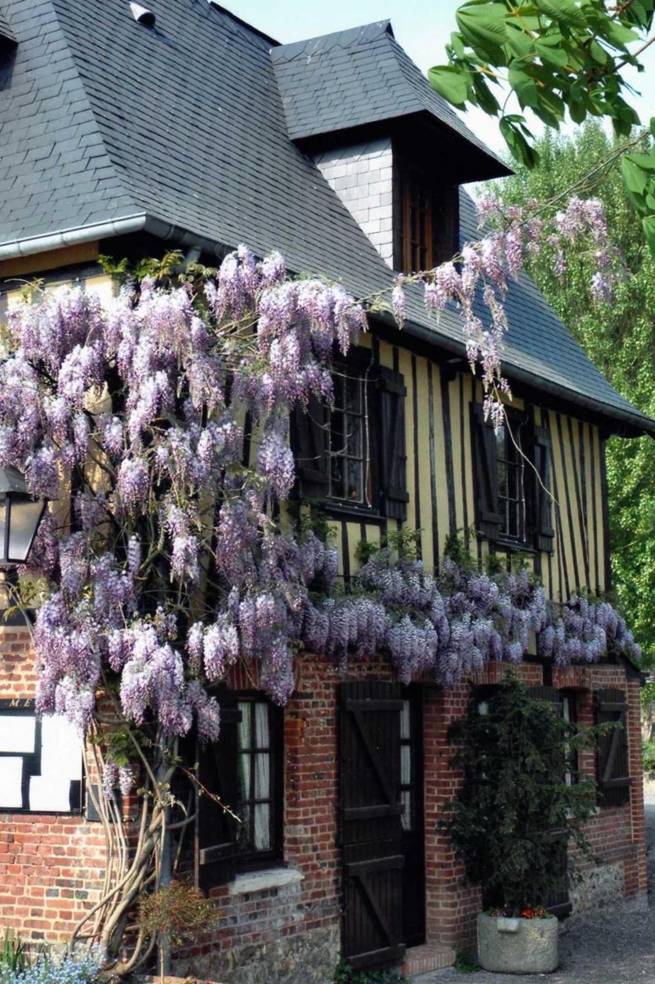 Auberge Du Val Au Cesne Saint-Clair-sur-les-Monts Экстерьер фото